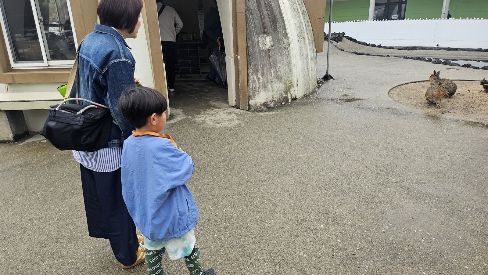 同じ場面。動物との距離がとにかく近い