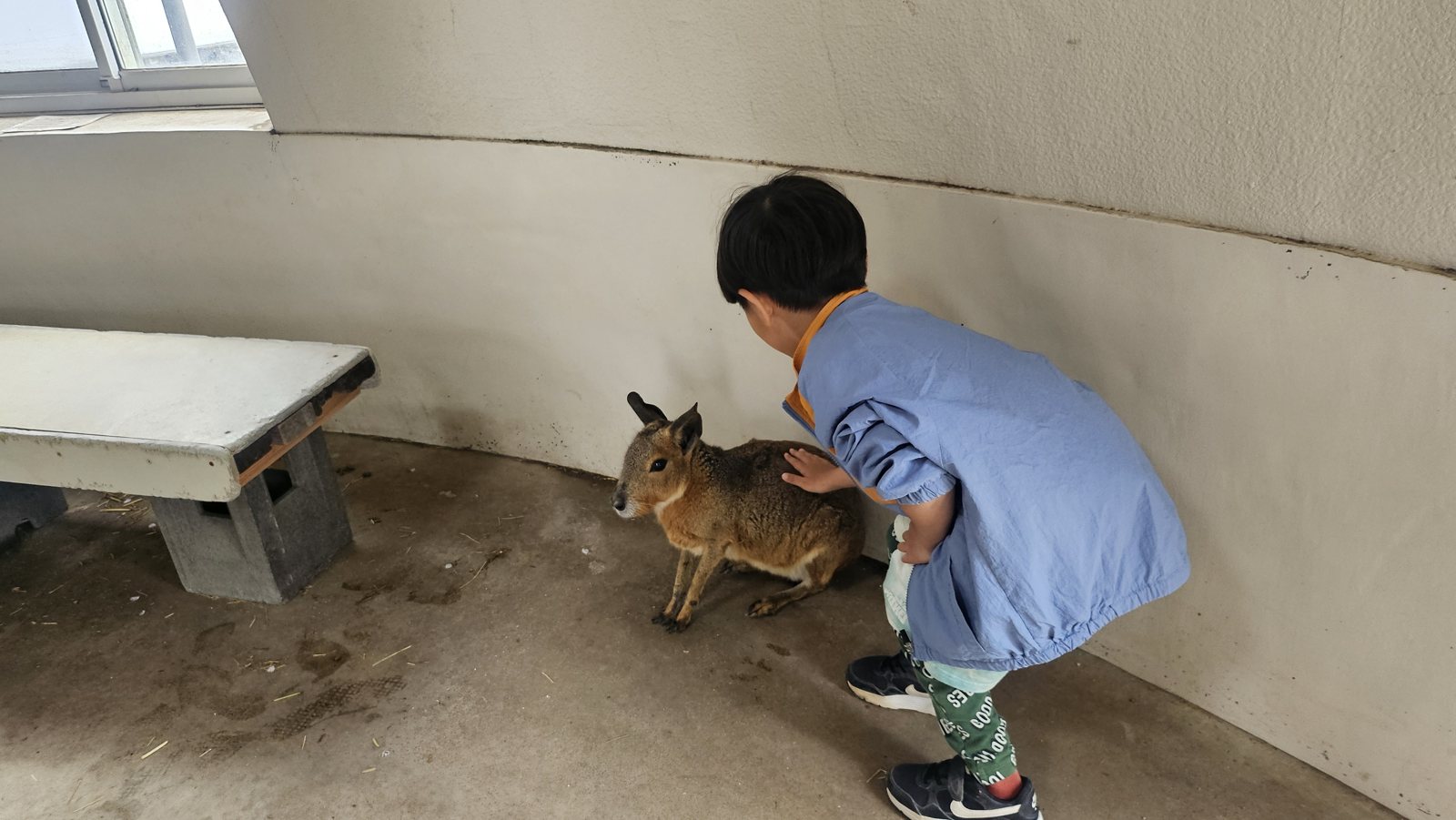 マーラを撫でる息子