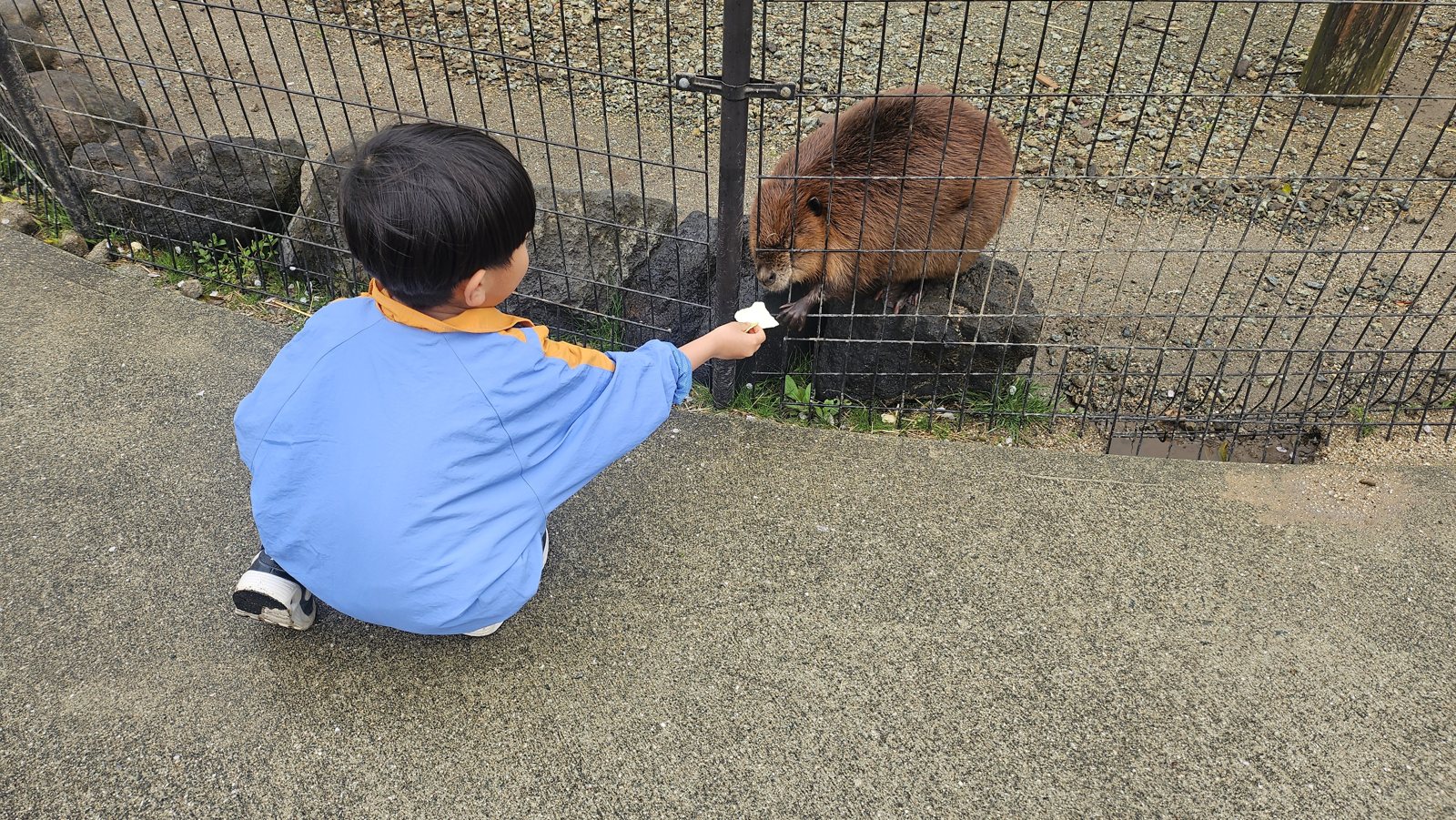 近づいてくる