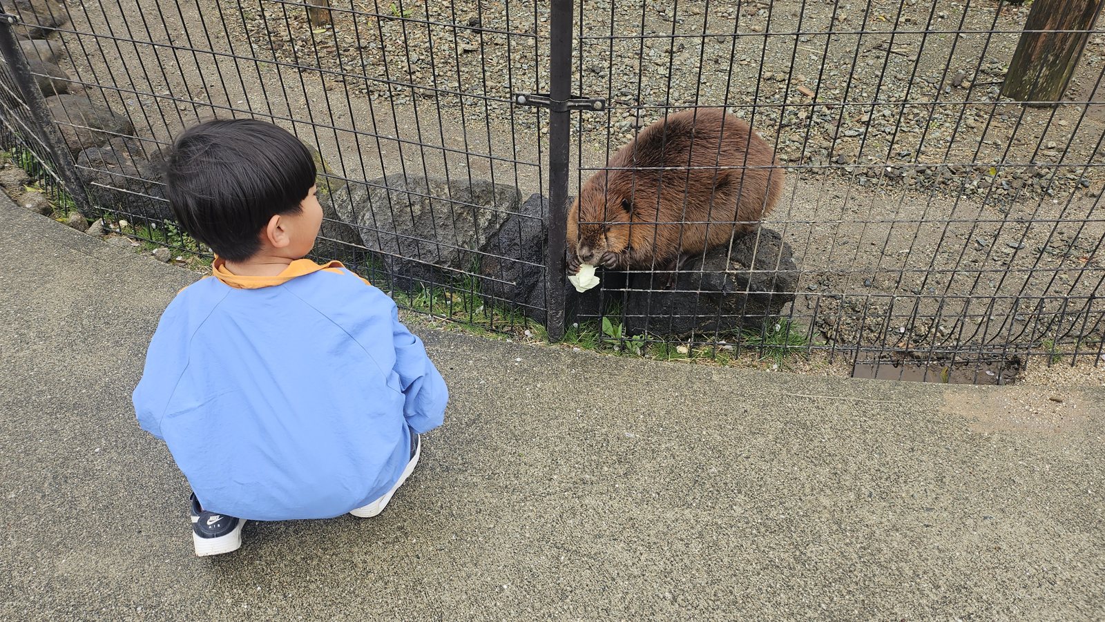 食べている間、じっと見つめる息子
