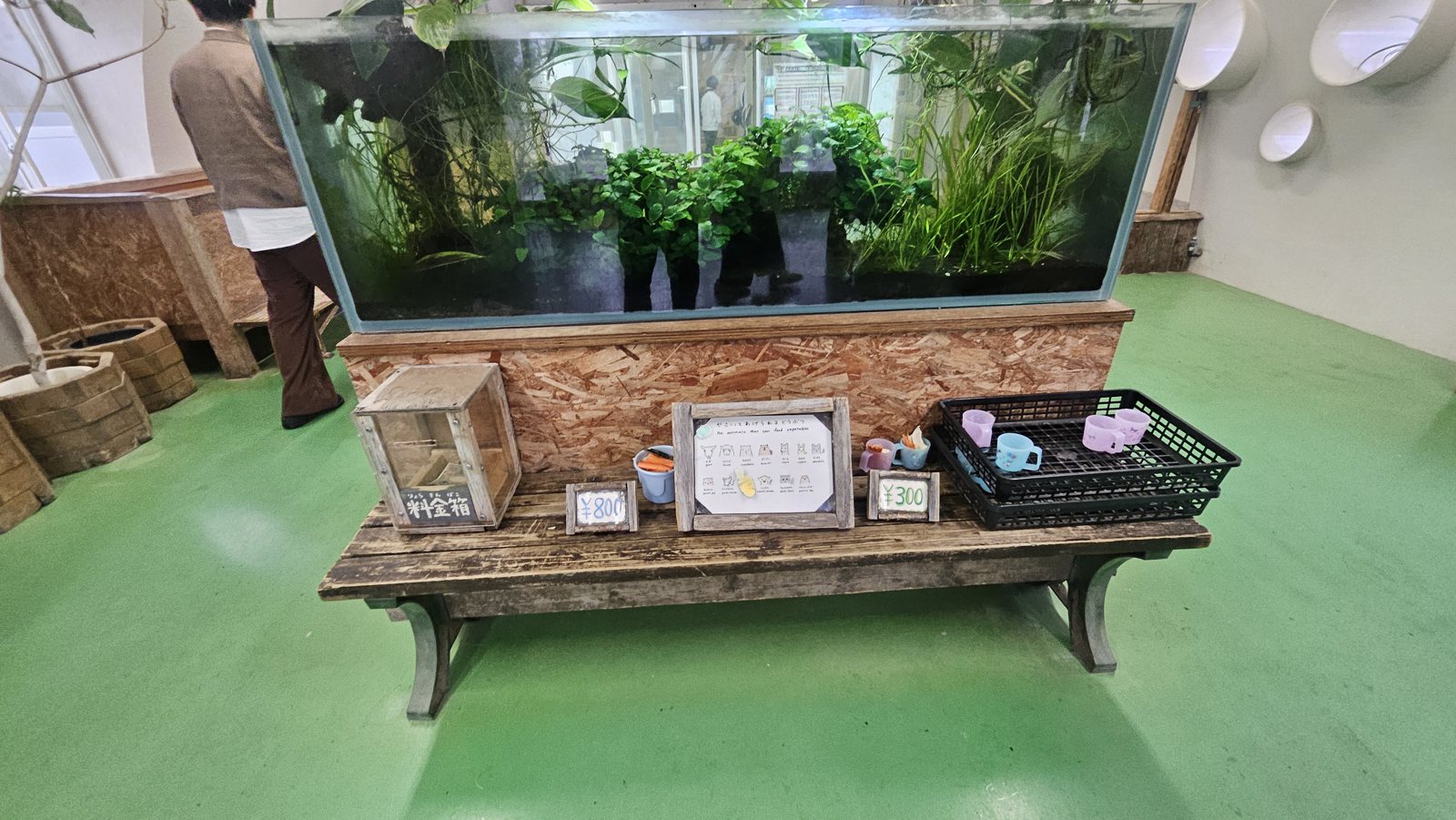 エサの販売コーナー。奥は水槽になっています