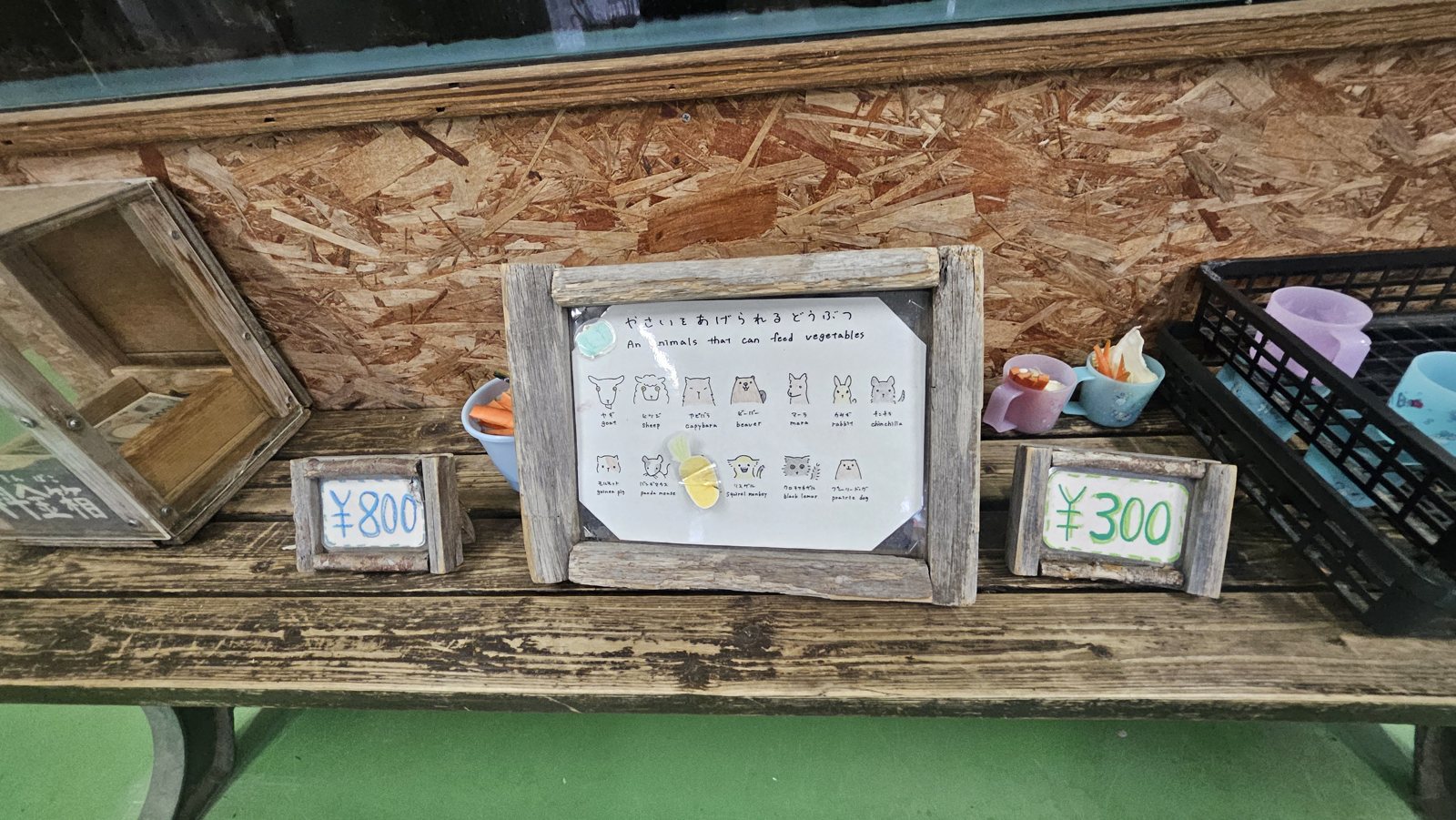 「An animals that can feed vegetables」の掲示