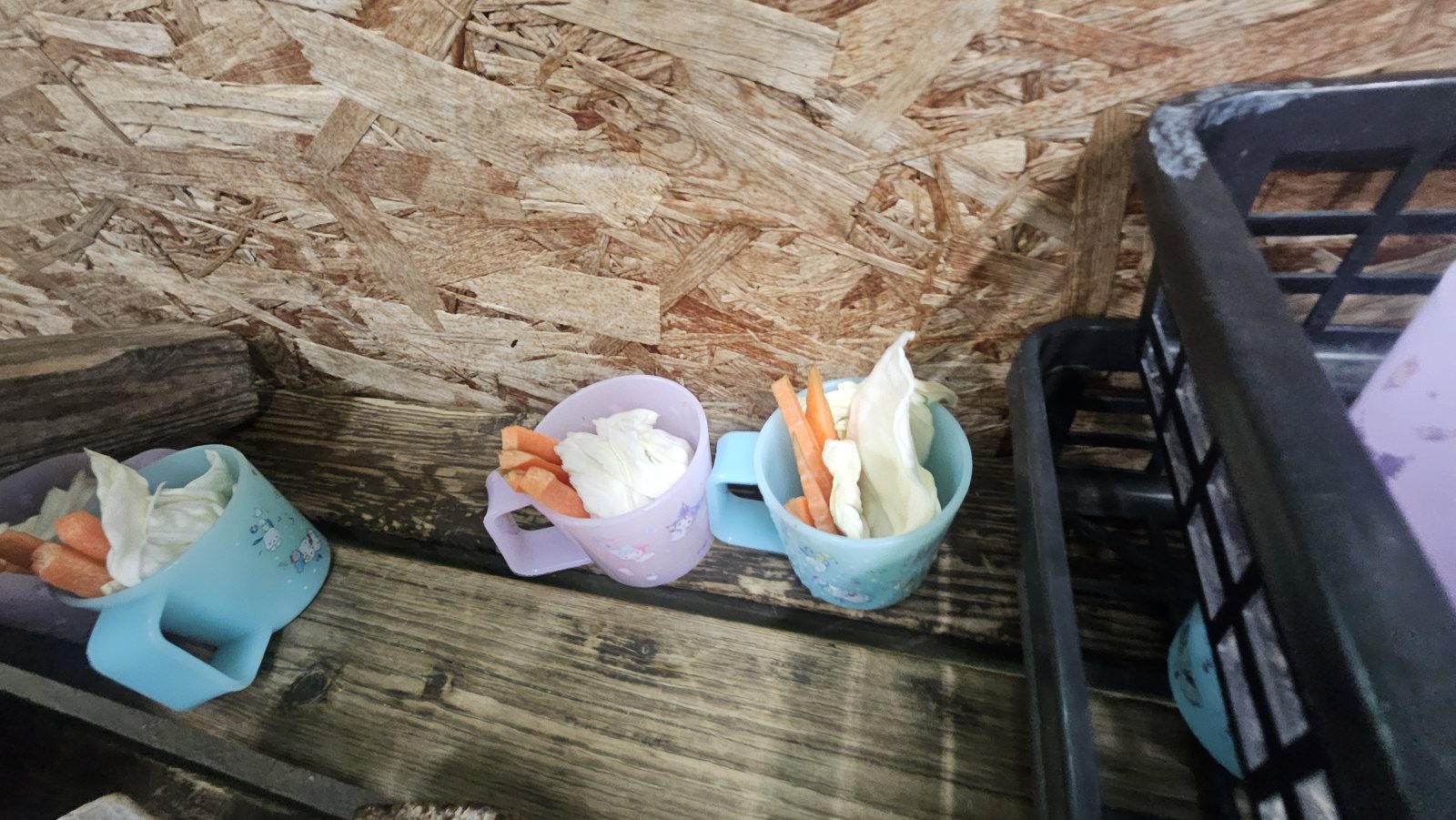 カップに入った野菜。ニンジンとキャベツが入っています