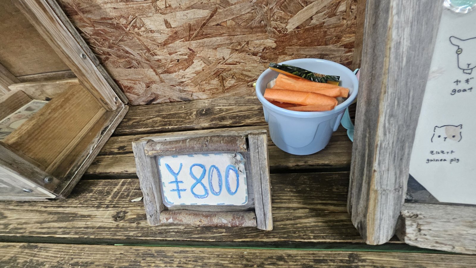 800円のカップ。ニンジンがぎっしり