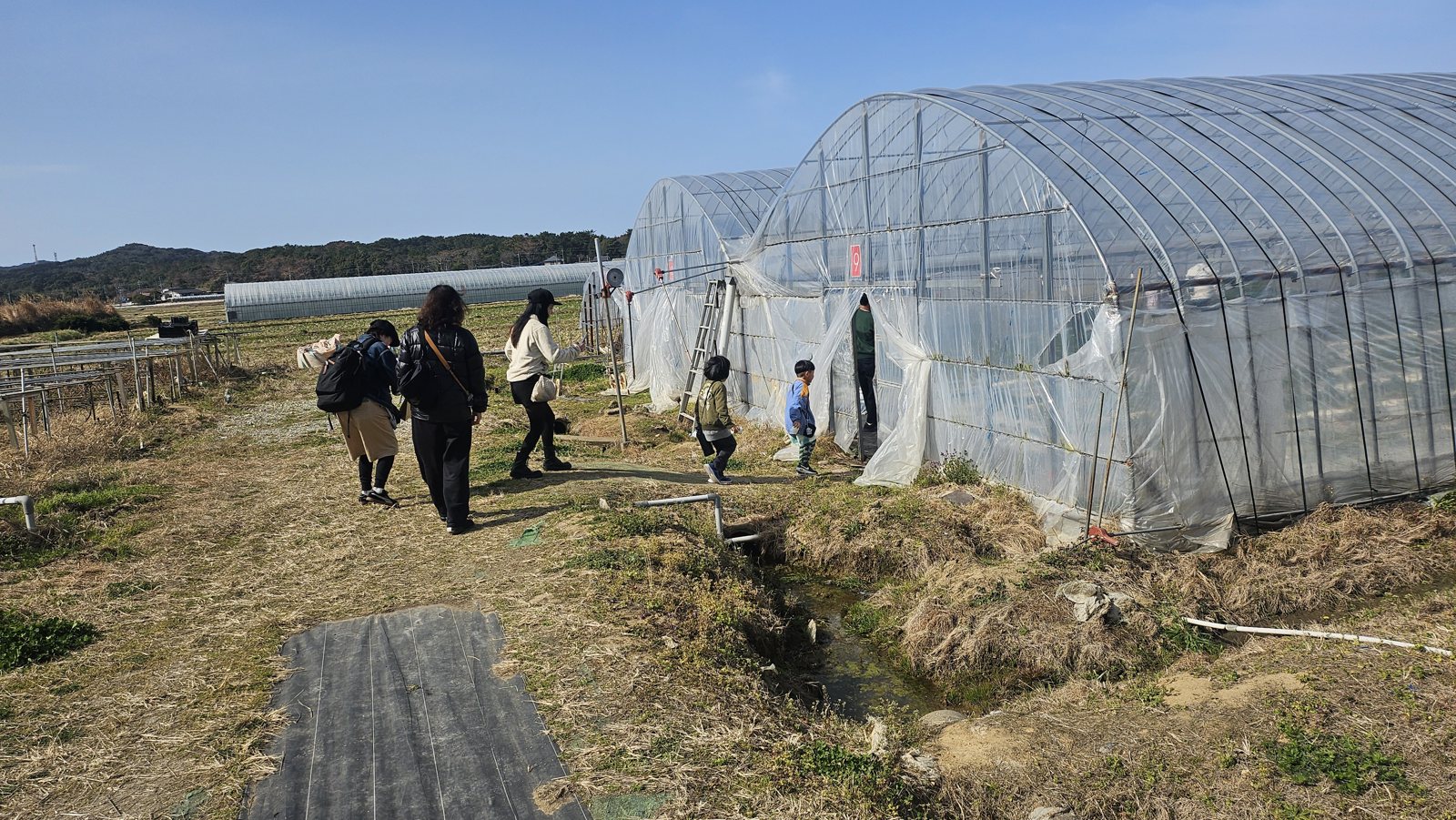 ハウスへ向かう道。奥まで農園が続きます