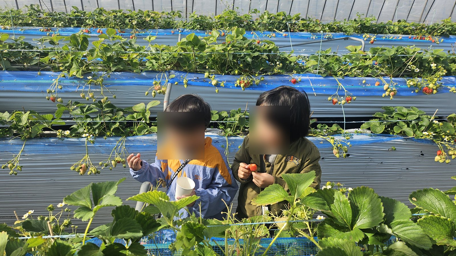 紙コップを持って食べる子どもたち