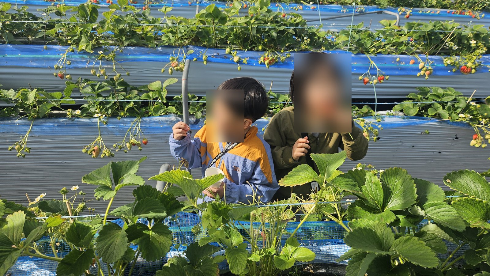 顔を見合わせながら食べる2人