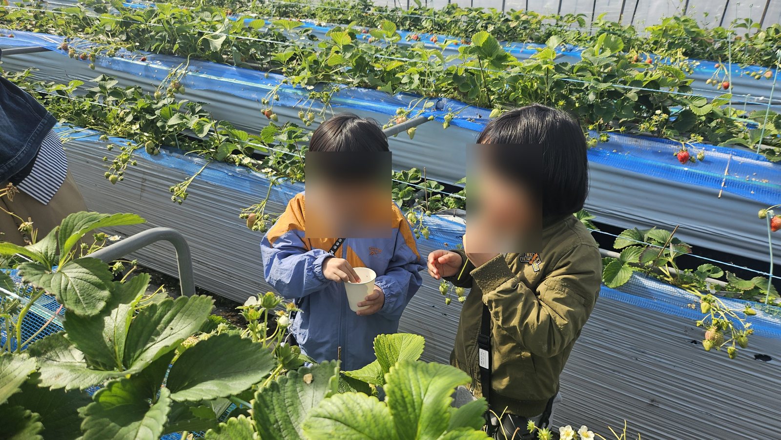 まだ食べています
