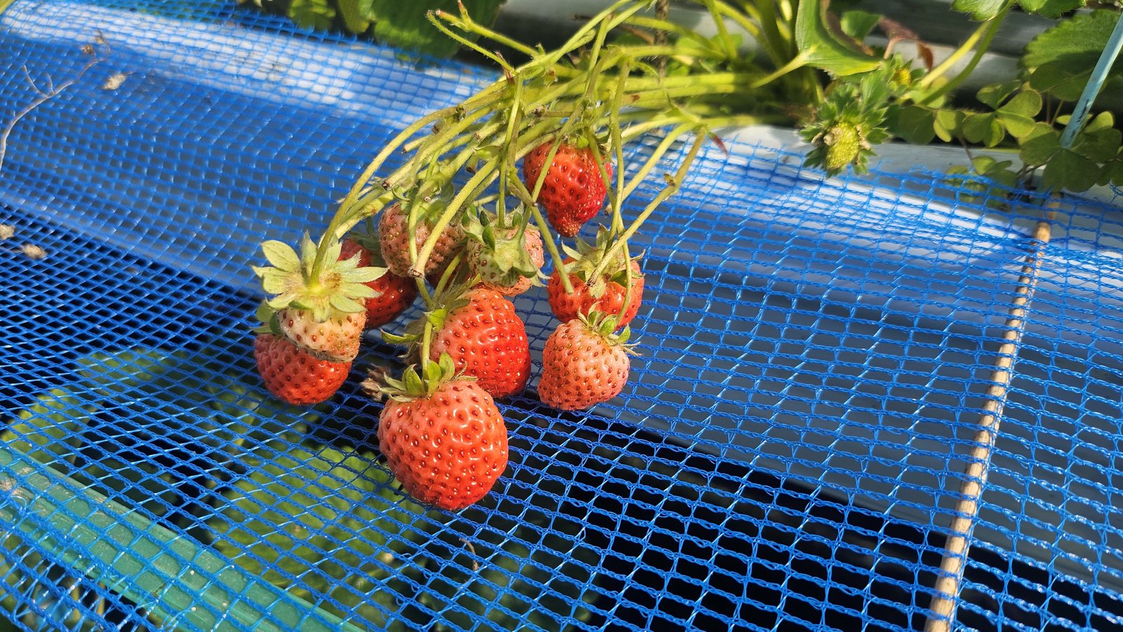 手を伸ばせば届く高さ