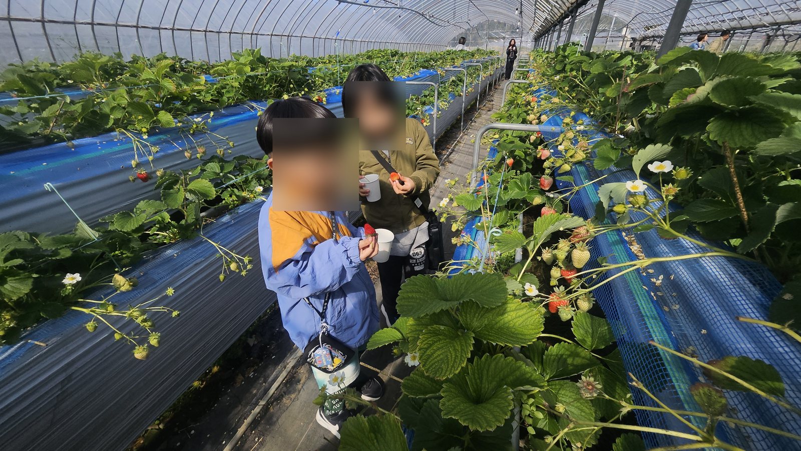 大きいのを見つけたところ