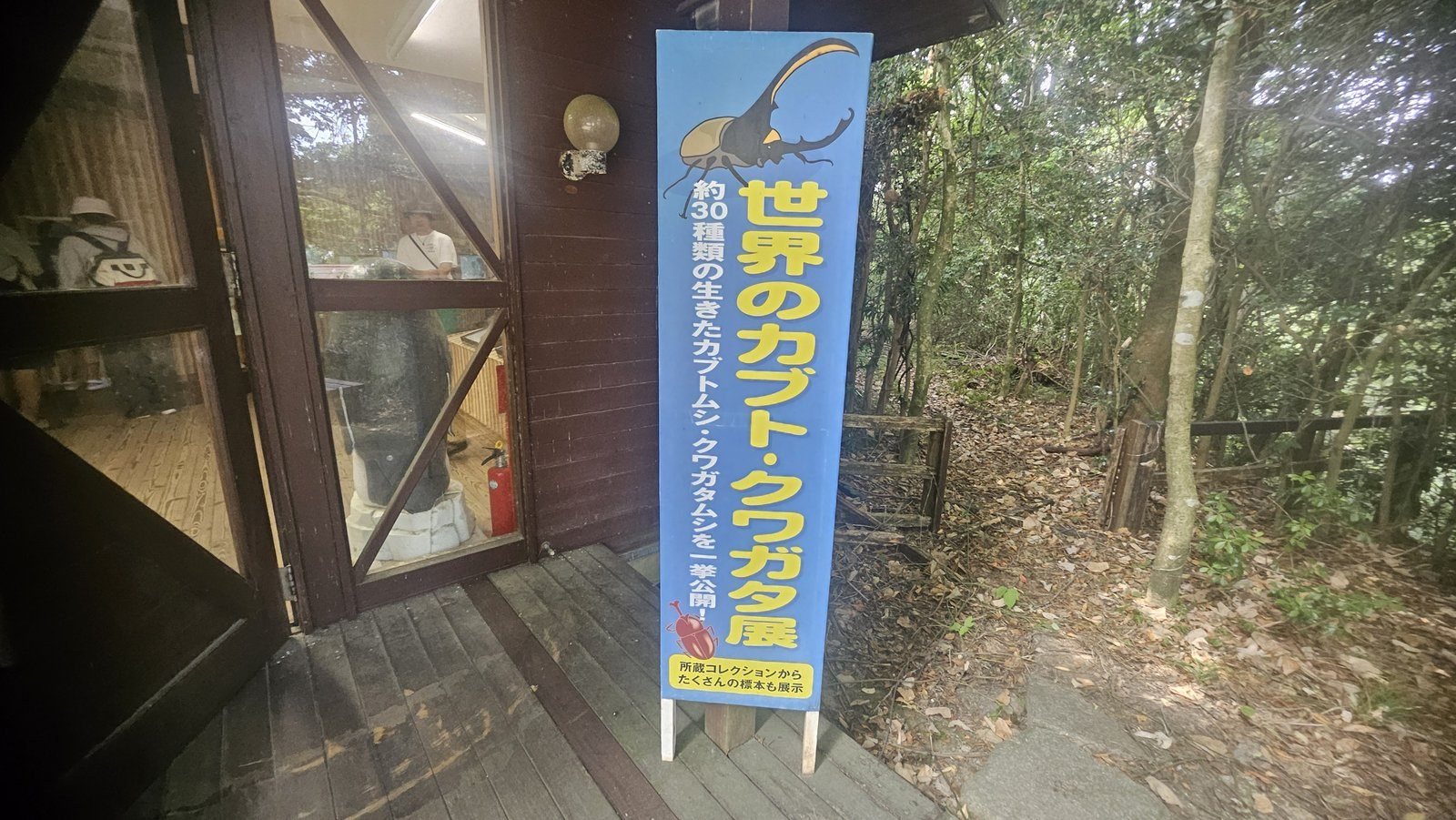 「約30種類の生きたカブトムシ・クワガタムシを一挙公開!」ののぼり