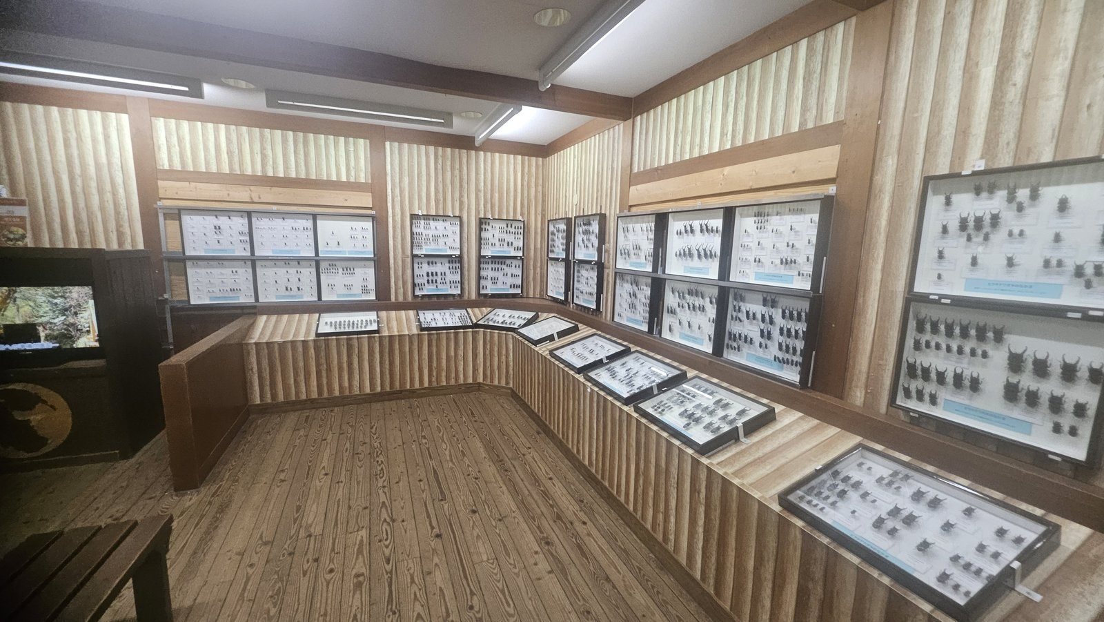 標本箱が壁一面に並ぶ部屋