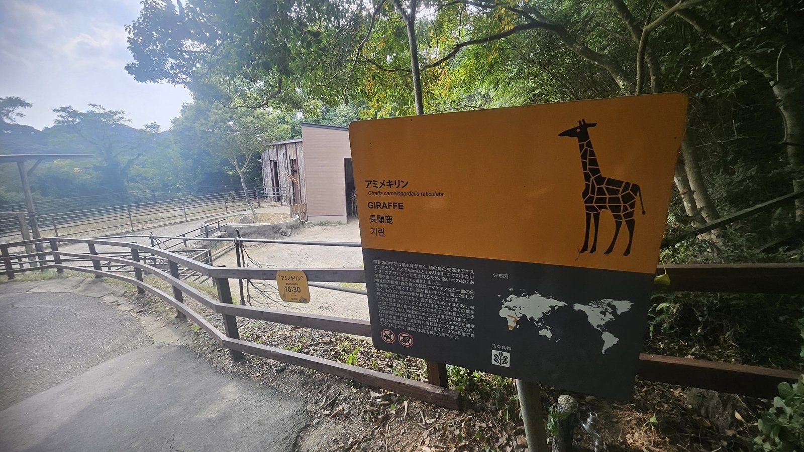 アミメキリンの解説看板