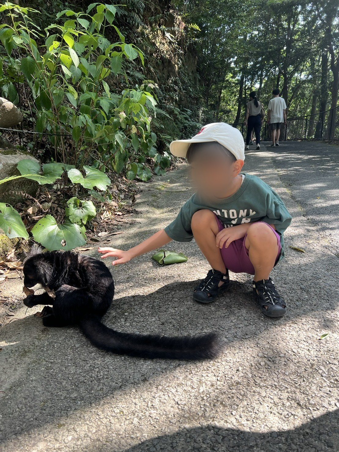 しゃがむと、こちらへ寄ってきます