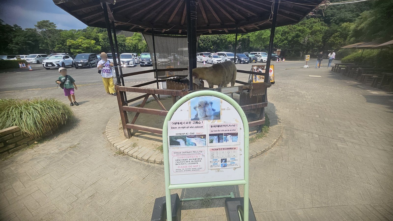 入口の手前にラマの獣舎があります