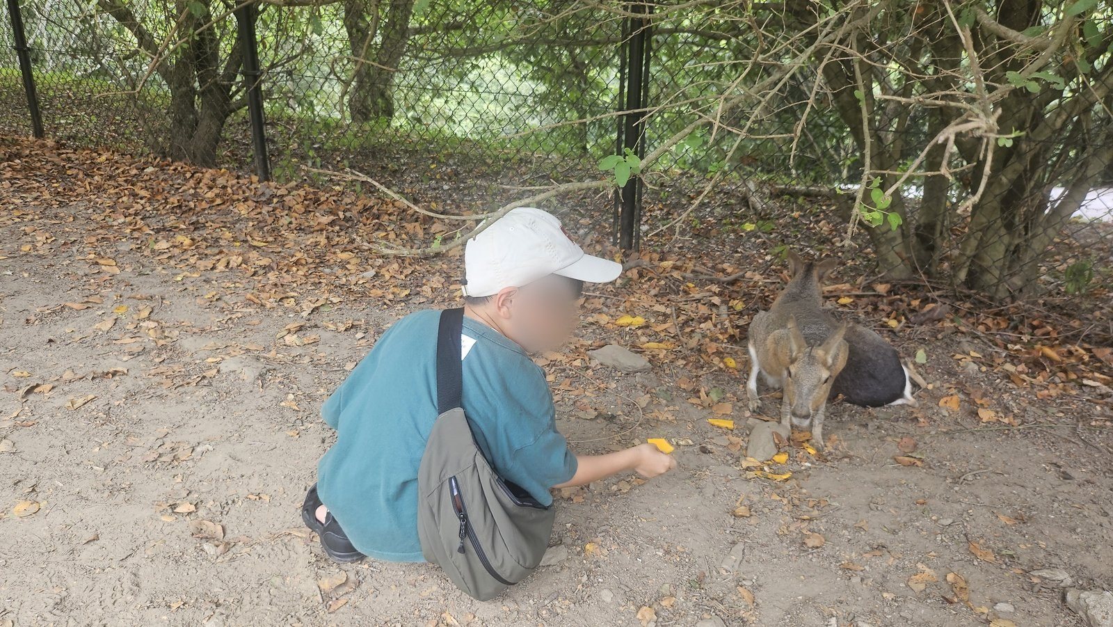 カボチャの切れ端に顔を寄せてきました